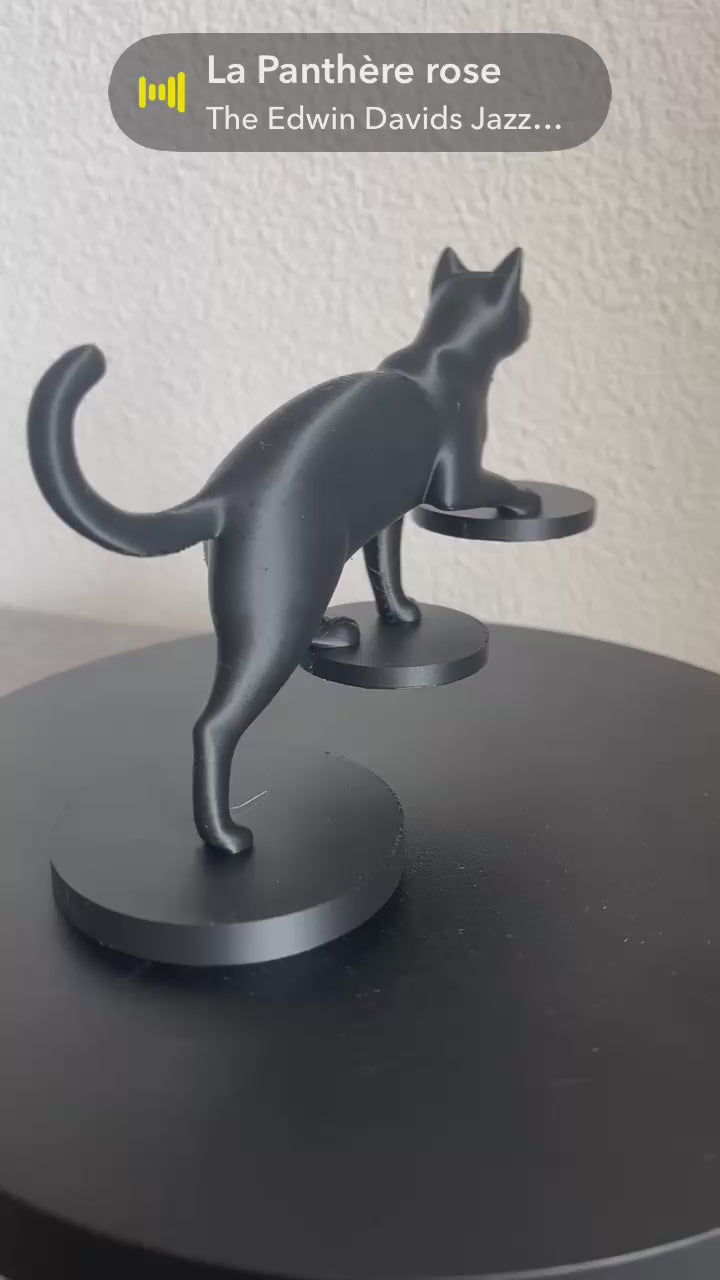 Chat sur marches flottantes – illusion d’optique